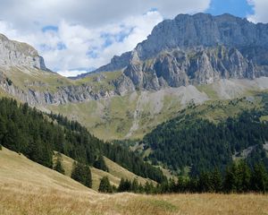 Превью обои гора, скалы, деревья, склон, трава, природа