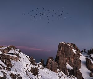 Превью обои гора, скалы, снег, птицы, природа