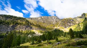 Превью обои гора, склон, деревья, трава, камни, природа