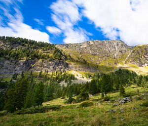 Превью обои гора, склон, деревья, трава, камни, природа