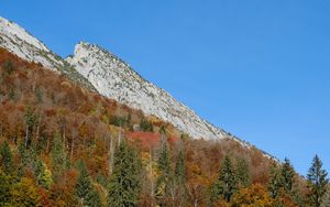 Превью обои гора, склон, деревья, лес, природа