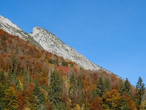 Превью обои гора, склон, деревья, лес, природа