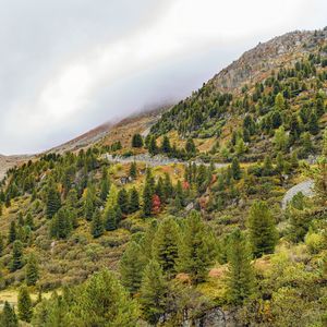 Превью обои гора, склон, деревья, туман, пейзаж