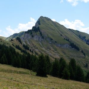 Превью обои гора, склон, деревья, трава