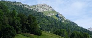 Превью обои гора, склон, деревья, лес, пейзаж