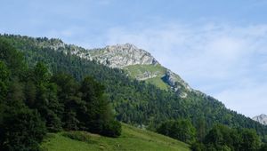 Превью обои гора, склон, деревья, лес, пейзаж