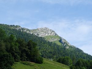 Превью обои гора, склон, деревья, лес, пейзаж