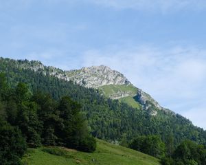 Превью обои гора, склон, деревья, лес, пейзаж