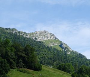 Превью обои гора, склон, деревья, лес, пейзаж