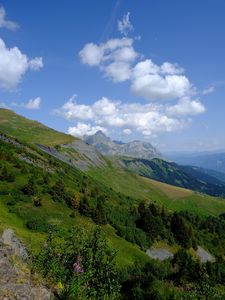 Превью обои гора, склон, кусты, деревья, пейзаж, зеленый