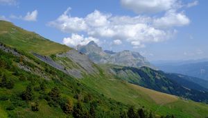 Превью обои гора, склон, кусты, деревья, пейзаж, зеленый