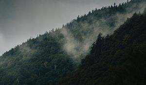Превью обои гора, склон, лес, облака, туман, мрак