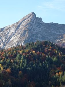 Превью обои гора, склон, лес, природа