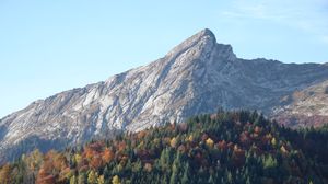 Превью обои гора, склон, лес, природа