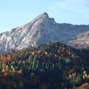 Превью обои гора, склон, лес, природа