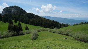 Превью обои гора, склон, лужайка, деревья, зелень, пейзаж