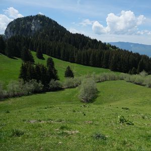 Превью обои гора, склон, лужайка, деревья, зелень, пейзаж