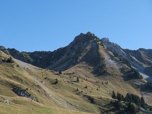 Превью обои гора, склон, пейзаж, долина, деревья