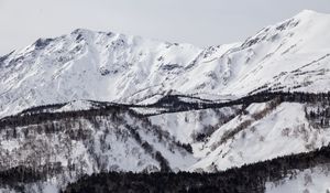 Превью обои гора, склон, снег, деревья, зима, пейзаж