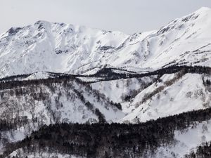 Превью обои гора, склон, снег, деревья, зима, пейзаж