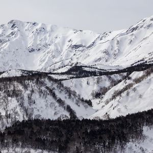 Превью обои гора, склон, снег, деревья, зима, пейзаж