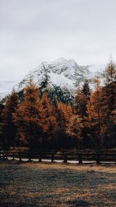 Превью обои гора, снег, деревья, дорога, забор