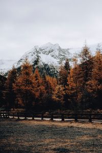 Превью обои гора, снег, деревья, дорога, забор