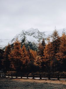 Превью обои гора, снег, деревья, дорога, забор