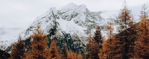 Превью обои гора, снег, деревья, дорога, забор