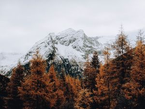 Превью обои гора, снег, деревья, дорога, забор