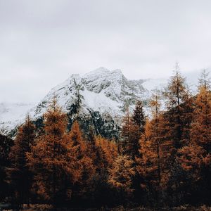 Превью обои гора, снег, деревья, дорога, забор