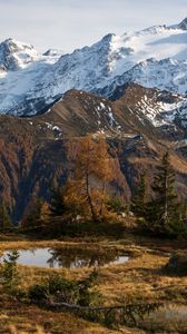 Превью обои гора, снег, деревья, лужа, пейзаж