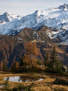 Превью обои гора, снег, деревья, лужа, пейзаж