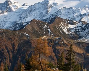 Превью обои гора, снег, деревья, лужа, пейзаж