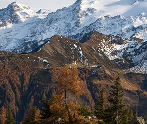Превью обои гора, снег, деревья, лужа, пейзаж
