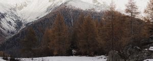 Превью обои гора, снег, деревья, зима, пейзаж, заснеженный