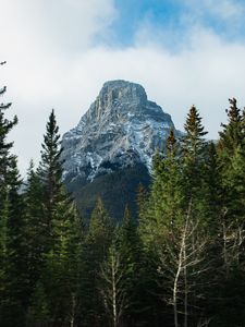Превью обои гора, снег, деревья, природа, пейзаж