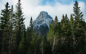 Превью обои гора, снег, деревья, природа, пейзаж