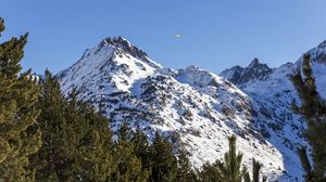 Превью обои гора, снег, деревья, пейзаж, склон