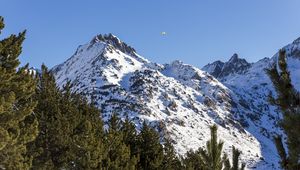 Превью обои гора, снег, деревья, пейзаж, склон