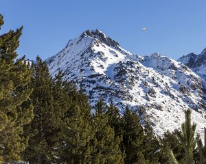 Превью обои гора, снег, деревья, пейзаж, склон