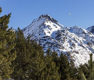 Превью обои гора, снег, деревья, пейзаж, склон