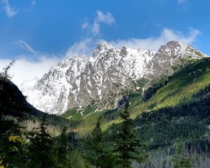 Превью обои гора, снег, деревья, склон, пейзаж