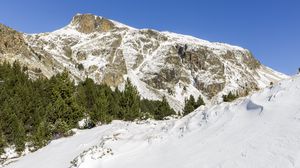 Превью обои гора, снег, деревья, склон