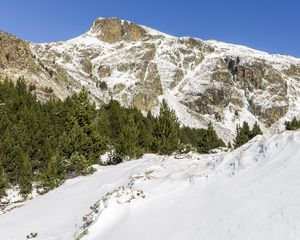 Превью обои гора, снег, деревья, склон