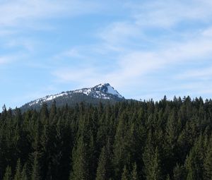 Превью обои гора, снег, деревья, лес, пейзаж