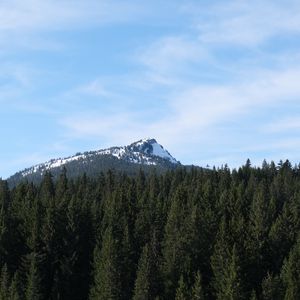 Превью обои гора, снег, деревья, лес, пейзаж