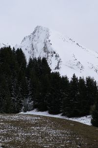 Превью обои гора, снег, деревья, пейзаж, склон, зима