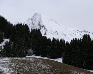 Превью обои гора, снег, деревья, пейзаж, склон, зима