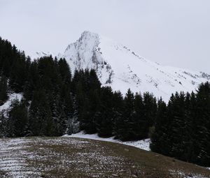 Превью обои гора, снег, деревья, пейзаж, склон, зима